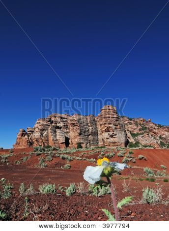 Kolob Terrace
