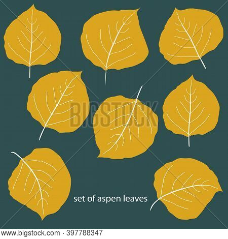 Vector Set Of Eight Differently Shaped Golden Aspen Leaves. Hand Drawn Isolated Foliage Motifs In Fa