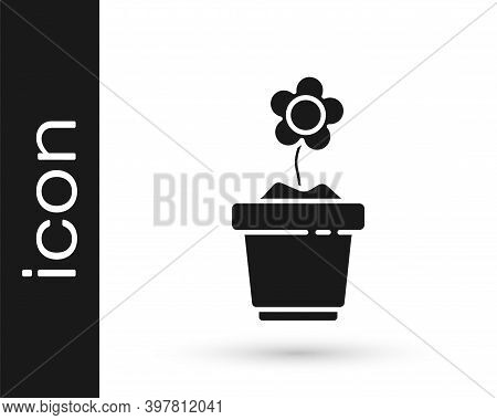 Grey Flower In Pot Icon Isolated On White Background. Plant Growing In A Pot. Potted Plant Sign. Vec
