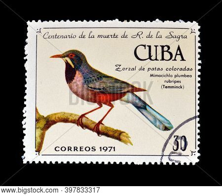 Cuba - Circa 1971 : Cancelled Postage Stamp Printed By Cuba, That Shows Red-legged Thrush (turdus Pl