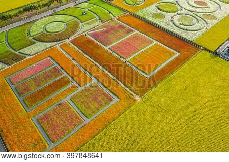Daxi, Taiwan - November 14th, 2019: aerial view of garden in Daxi event of Taoyuan Flower Festival in Taoyuan, Taiwan, Asia