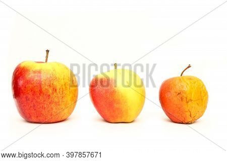A Picture Of Three Ordinary Apples, Without Modifications..as You Know From The Shop. The Picture Sh