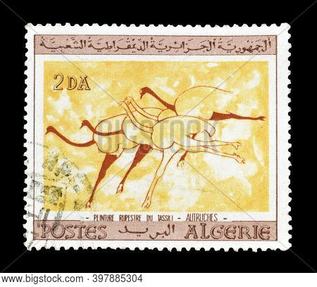 Algeria - Circa 1966 : Cancelled Postage Stamp Printed By Algeria, That Shows Drawing Of Ostridges, 