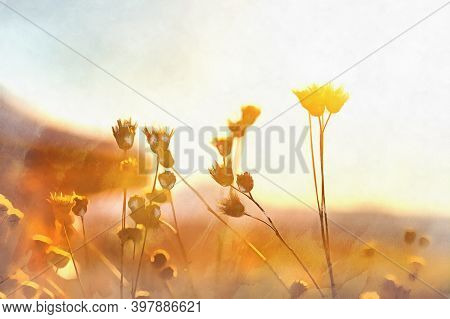 Beautiful Scene With Grass And Sunset Sun At Warm Colors