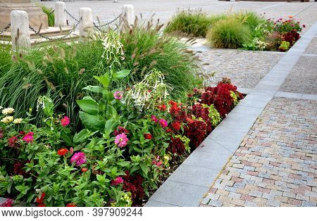 Perennial Flower Beds With Annual Plantations On The Edge Of The Flower Bed In Paving On The Granite