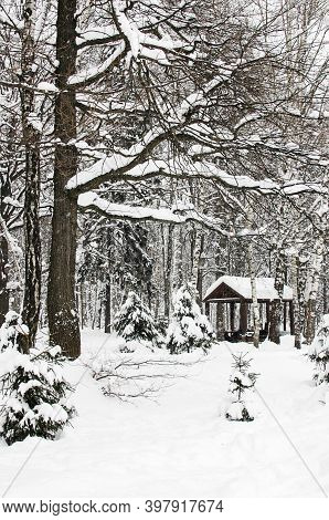Winter In The Forest. Wooden Gazebo, Covered With Snow. Drifts. Trees Covered In Snow
