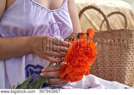 Woman In Blue Dress Holding Poppe Flowers, Close Up On Her Hands. Spring Time Dreams.