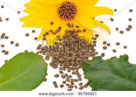 Biopolymer med blossom och leafes