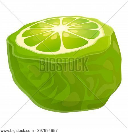 Bergamot Citron Icon. Cartoon Of Bergamot Citron Vector Icon For Web Design Isolated On White Backgr
