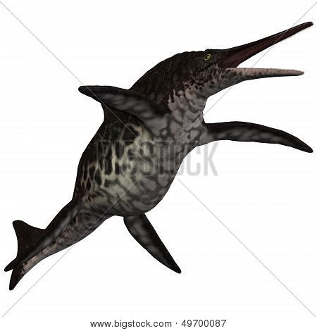 Shonisaurus Icthyosaur On White