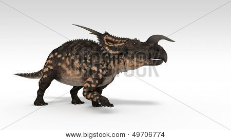 Einiosaurus isolerade