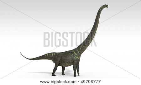mamenchisaurus 절연