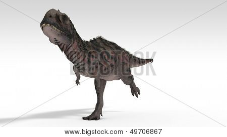 Majungasaurus izolované