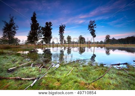 Sunrise Over Little Wild Lake