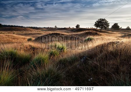 Morning Sunlight In The Hills