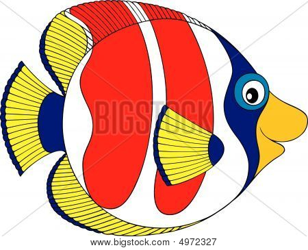 Korallenfische