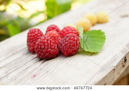 White And Red Raspberry.
