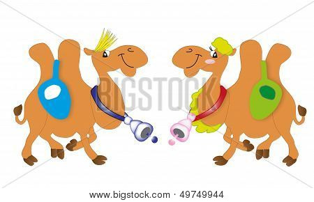 Camel