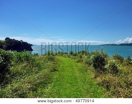 Grassland Hiking Track Leading To The Sea