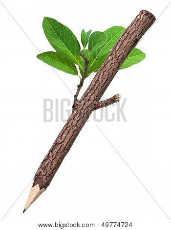 Wooden Pencil In White Background