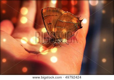 hand