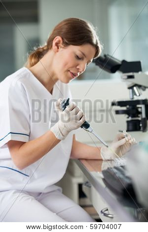 Young female scientist filling liquid into microplate in laboratory