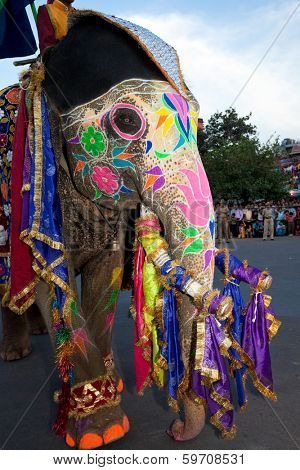 Jaipur, India - March 29, 2009: elephant in the celebration of the gangaur festival, one of the most important of the year