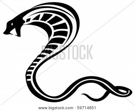 cobra snake