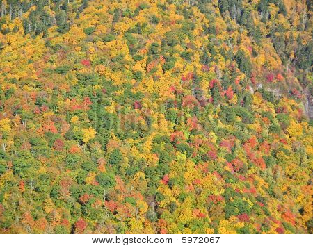 Couleurs d'automne