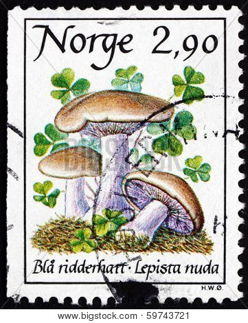 Postage Stamp Norway 1988 Blue Stalk Mushroom, Mushroom