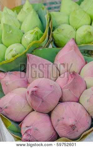 Bouquet Lotus