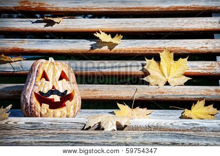 Halloween Pumpkin On The Bench
