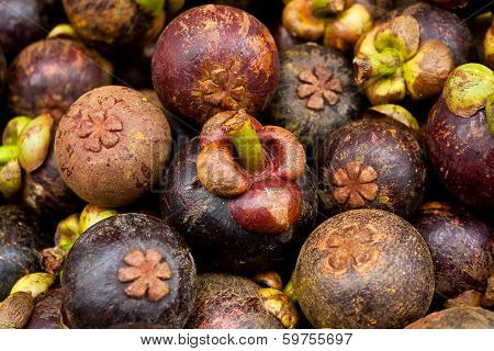 Mangosteen