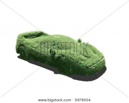 Sport Auto mit Gras
