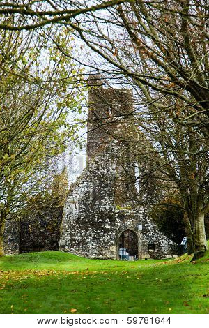 Kilcrea, Ireland - November 28: Kilcrea Friary On November 28, 2012 In Co.cork, Ireland