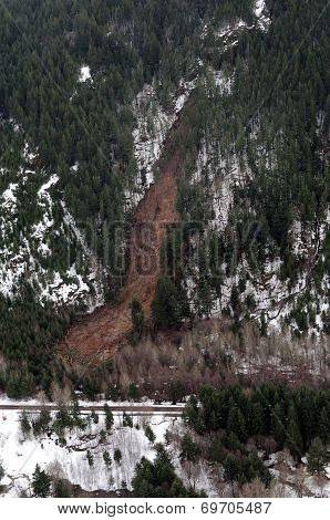 Washington Forest Mudslides