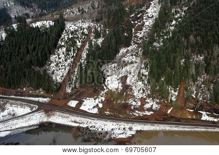 Washington Forest Mudslides