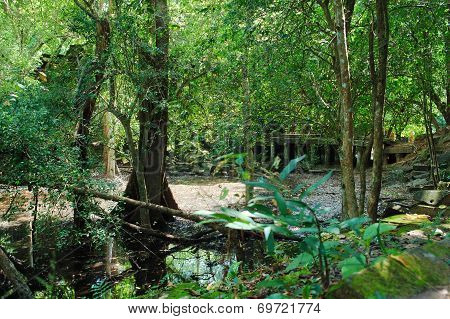 Beng Mealea