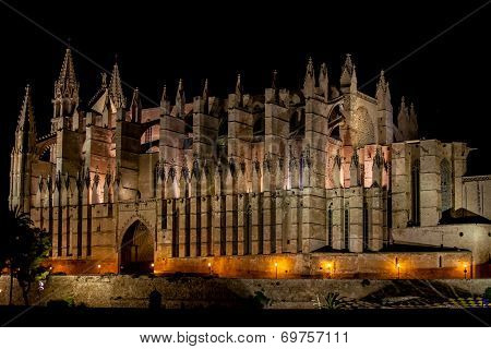 Cathedral Of Palma De Mallorca La Seu Night View