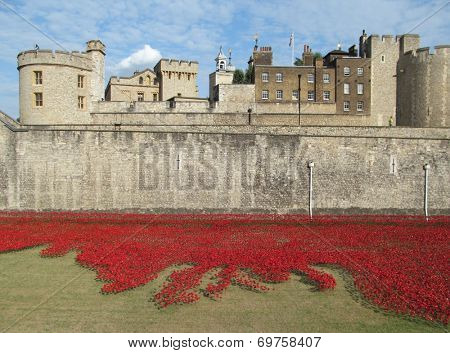 LONDON- AUGUST 7: 888,246 ceramic poppies, by artist Paul Cummins, where laid around the tower of london, to mark the 100th anniversary of britain entering the 1st world war. LONDON, AUGUST 7, 2014