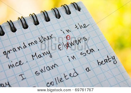 The bug is fixed in red pen in a notebook