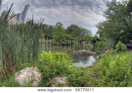 Central Park, New York City