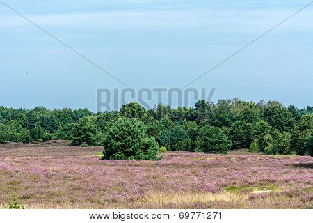 Nature protect area