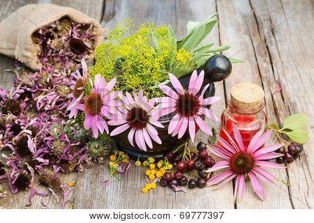 Coneflowers And Dill In Mortar, Vial With Essential Oil On Wooden Plank
