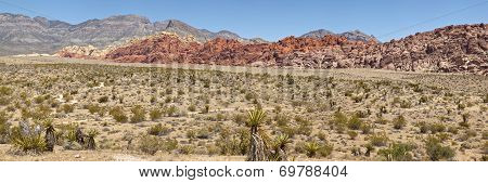 Red Rock Canyon Las Vegas Nv.