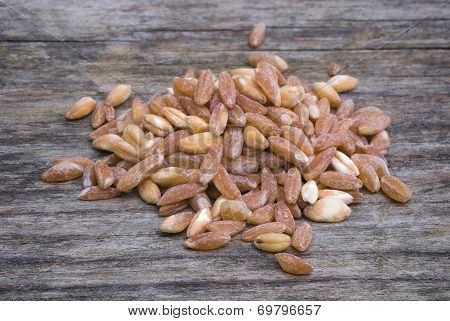 Barley