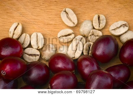 Green Coffe (coffea Arabica)