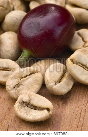 Green Coffe (coffea Arabica)