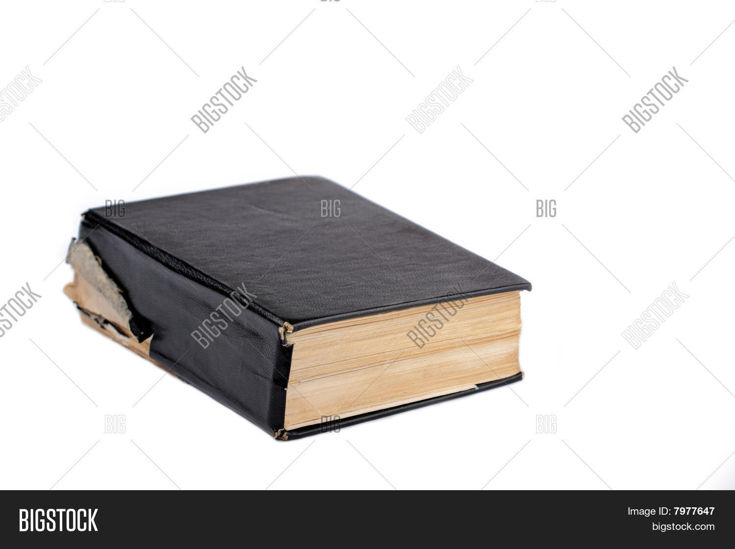 Image Preview