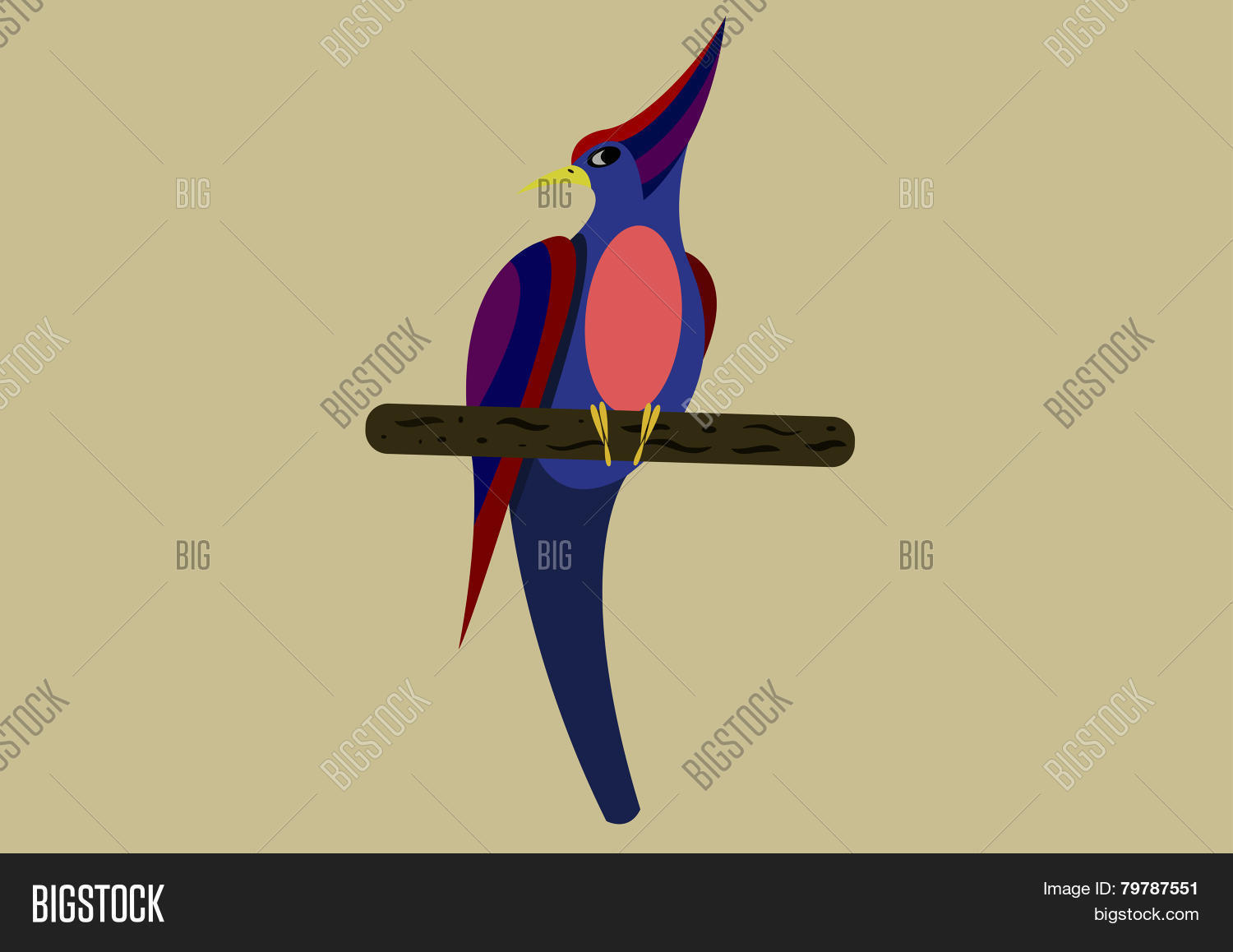 Image Preview